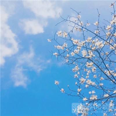 ku娱乐官网登录